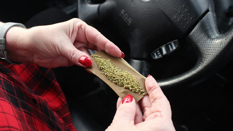 Driver rolling a marijuana joint behind the steering wheel